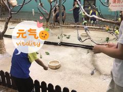 -上海大自然野生昆虫馆(东方明珠·爬宠昆虫探索中心)