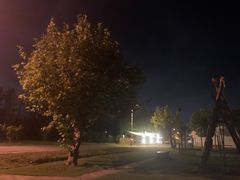 -前小桔亲子创意农场·草莓采摘·露营烧烤