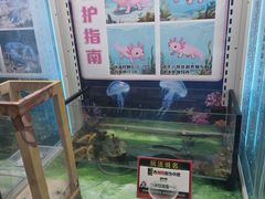 -汤姆熊欢乐世界(大连恒隆广场店)