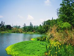 -桤木河湿地公园