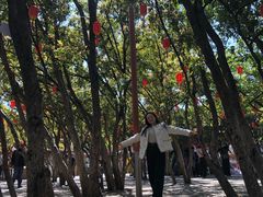 -翠湖公园