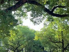 -西园戒幢律寺