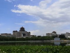 -莲花池公园
