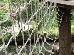 -WeLope紫金山探险公园