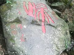 -藏龙百瀑风景区