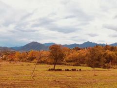 -塔川景区