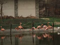 iphone_upload_pic-西安秦岭野生动物园