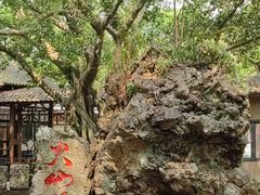 -海口火山口国家地质公园