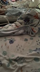 点击看大图 -宝燕乐园(闵行旗舰店)