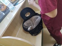 -美联众合动物医院·24h京西诊疗中心