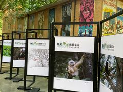 -西安电影制片厂