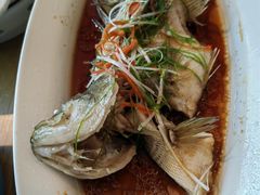 -渝信川菜 · 川味家常菜(财富购物中心店)