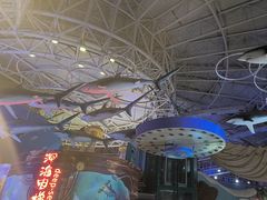 -烟台海昌鲸鲨海洋公园