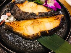 -酒久自助料理(佳兆业店)