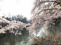 -井之头恩赐公园