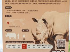 -武汉动物园