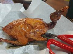 -石岐乳鸽村(南海第三分店)