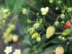 -南京市无想山景区