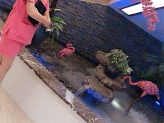 -纽斯洗浴SPA(三墩店)