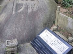 -长沙黑麋峰国家森林公园