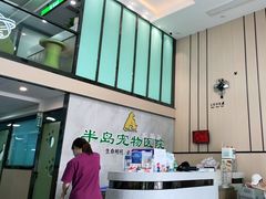 -半岛宠物医院24小时(科华中路店)