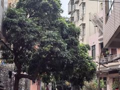 -小洲村