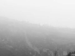 -青峰峡国家森林公园