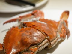 -开海·红岛海鲜虾水饺(石老人店)