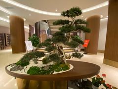 -松鹤楼(狮山永利广场店)
