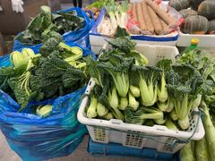 -东山矮马桶羊肉(太湖东山店)