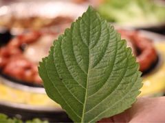 -老板娘的烤肉店(港湾广场店)