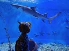 -太平洋海底世界