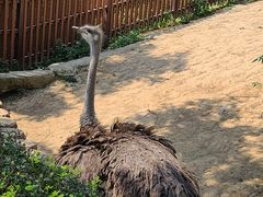 -石家庄市动物园