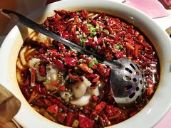 麻辣酸菜鱼-胡桃里乐队酒馆(农科路店)