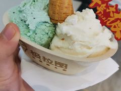 -极拉图·现制冰淇淋(大卫城店)