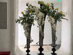 -裕龙汤泉