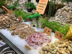 -南美豹国际自助百汇(万象城店)