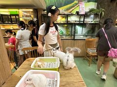 -藦茜花园宠物主题亲子互动体验馆(国顺东路店)