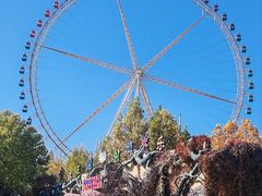 -石家庄市动物园