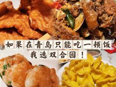 -双合园·海鲜水饺青岛菜(上清路店)