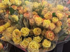 -循礼门鲜花花市(武汉循礼门店)