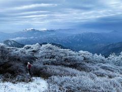 -秦岭风景区