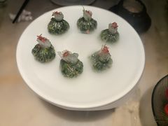 -淮扬府·游园京梦(北京SKP店)