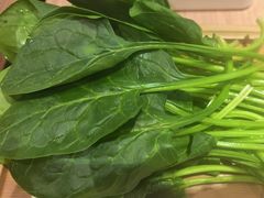 -蝎王府羊蝎子(西直门店)