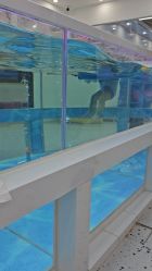 -熊小米专业儿童游泳馆