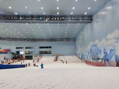 -哈尔滨热雪奇迹