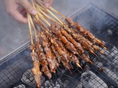 -菊园百果园