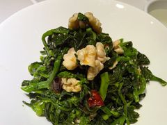 -来相会饺子·新辽菜(甘家口店)