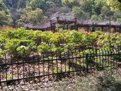 -幕燕滨江·长江观音景区