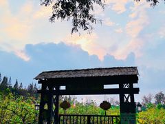 -同里国家湿地公园